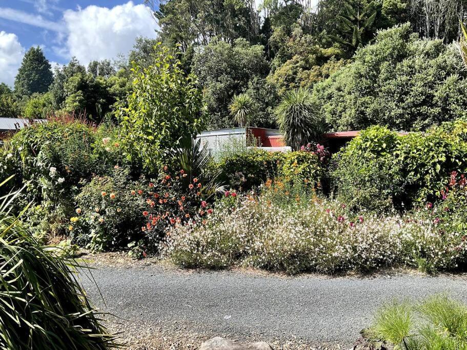 Oakura Pond Cottage - A Unique Kiwi Holiday Bach Exterior photo