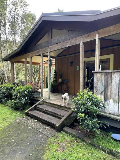 Oakura Pond Cottage - A Unique Kiwi Holiday Bach Exterior photo