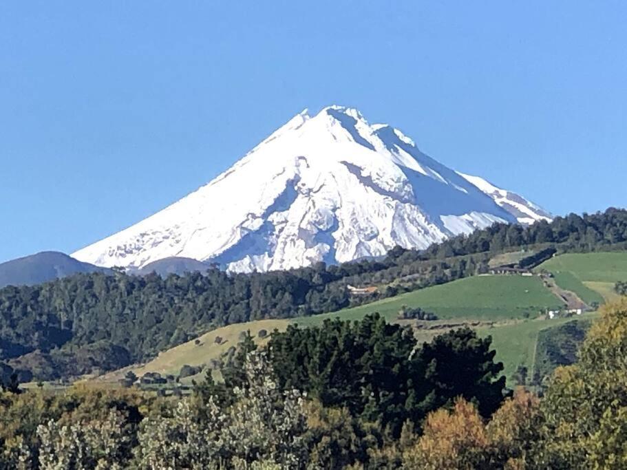 Oakura Pond Cottage - A Unique Kiwi Holiday Bach Exterior photo